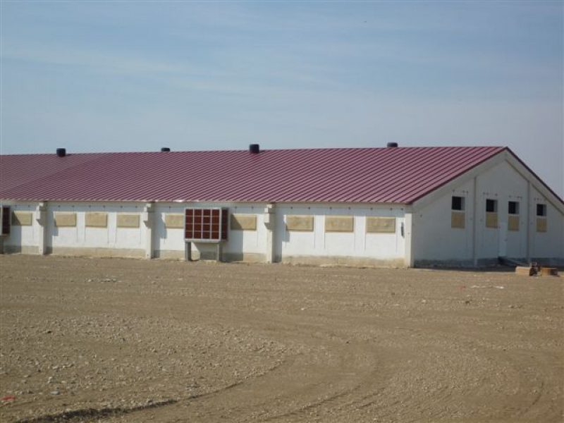 Construcción de un centro de reproducción porcino en Pradilla