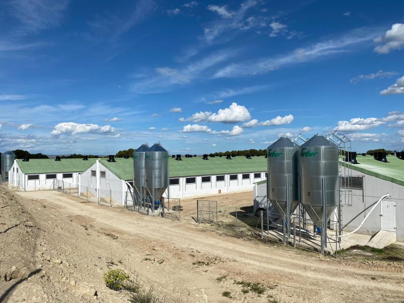 Nueva granja porcina para albergar 4.816 plazas de engorde en Valfonda de Santa Ana, Huesca.