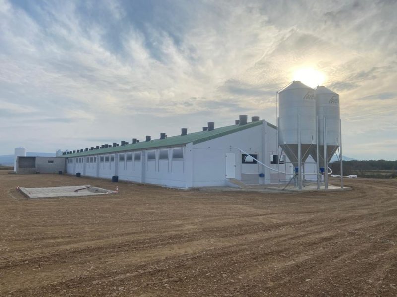 Nueva granja porcina en Valareña, Zaragoza para una capacidad final de 2.000 plazas
